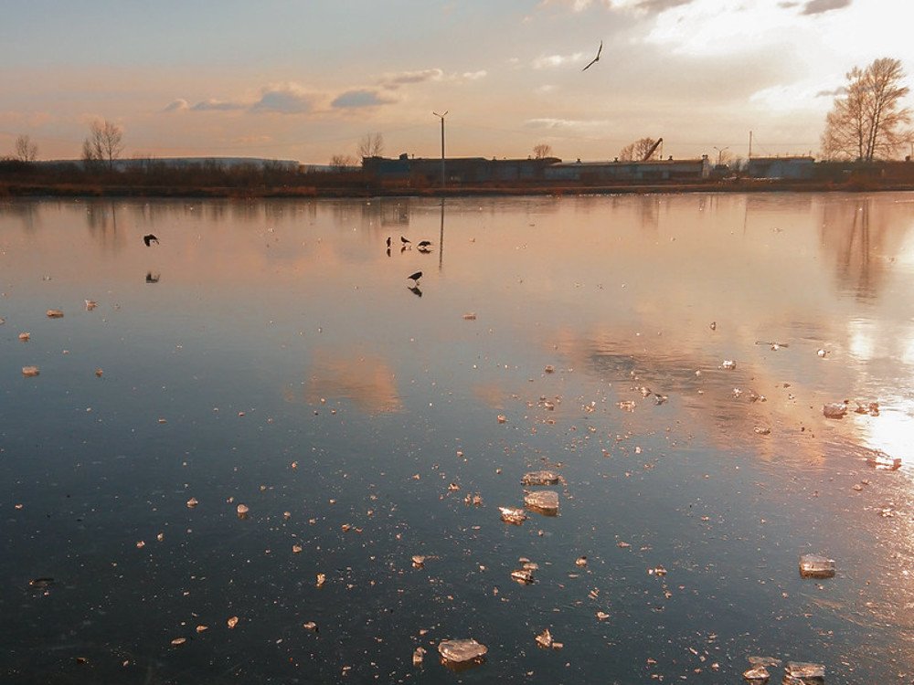 Из осени в зиму.