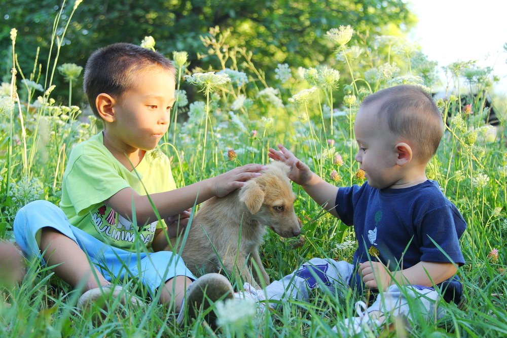 Photograph by Beybit Bertaev