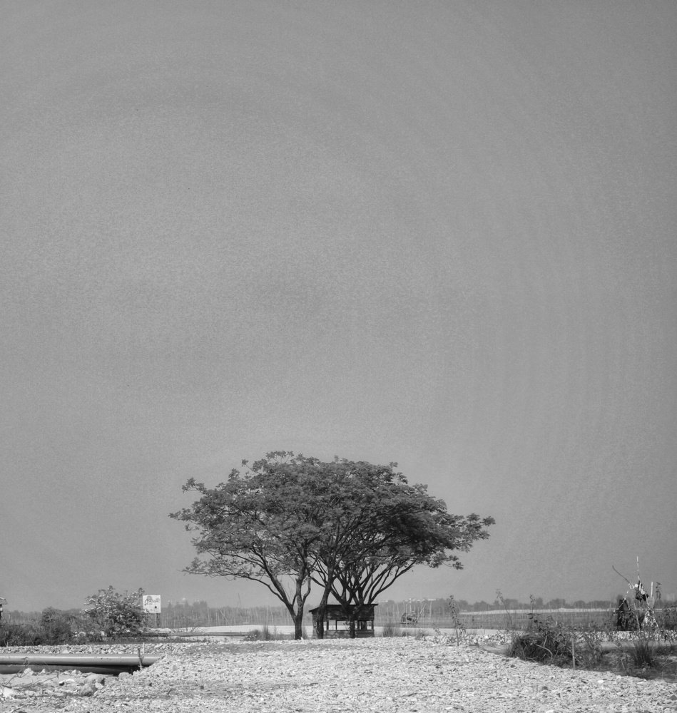 Photograph by Maher Hasan