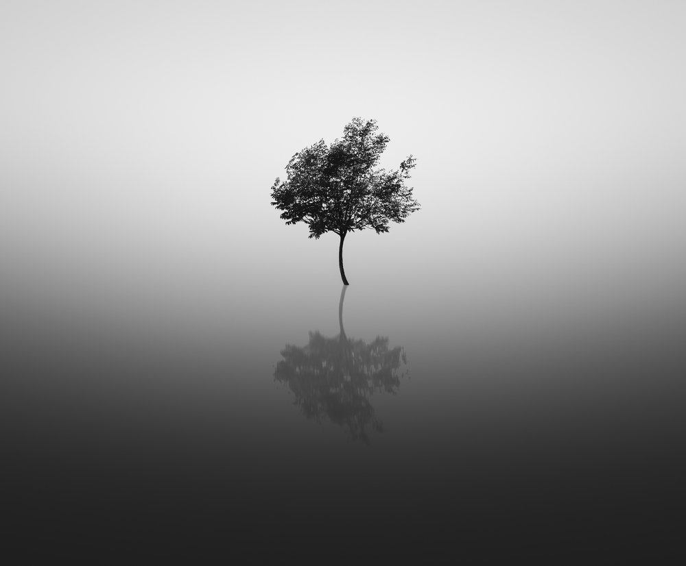 Photograph by Yones Mahmoudi