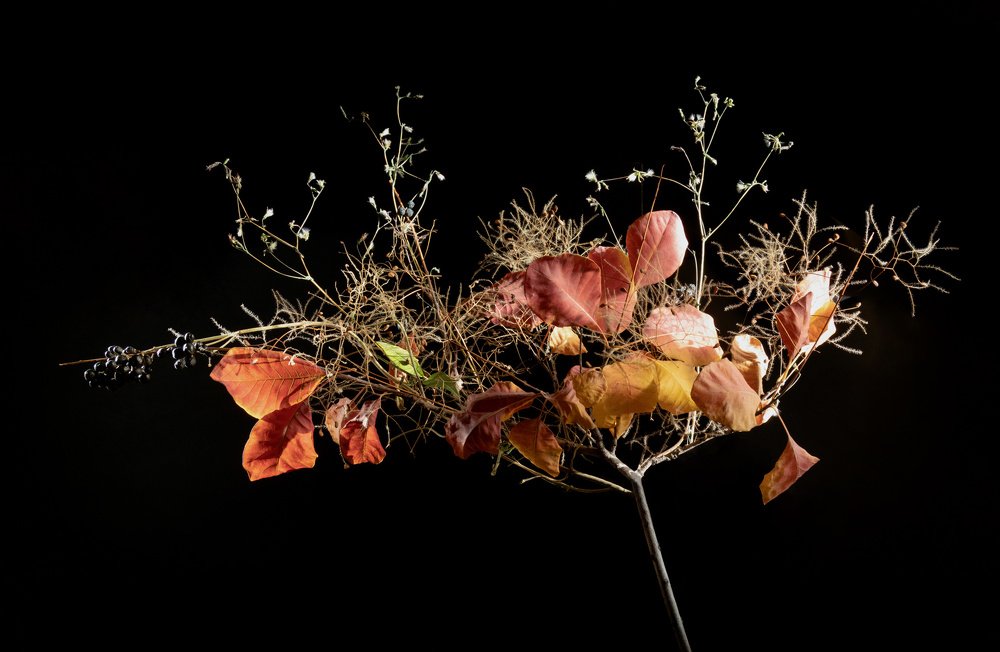 Дыхание Осени. Яркие краски перед переходом в зиму.