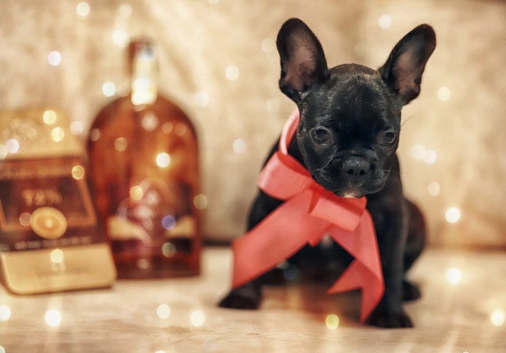 Photograph by Яна Максимова