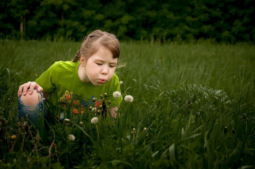Тёплый вечер