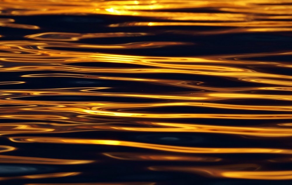 Photograph by Александр Попов