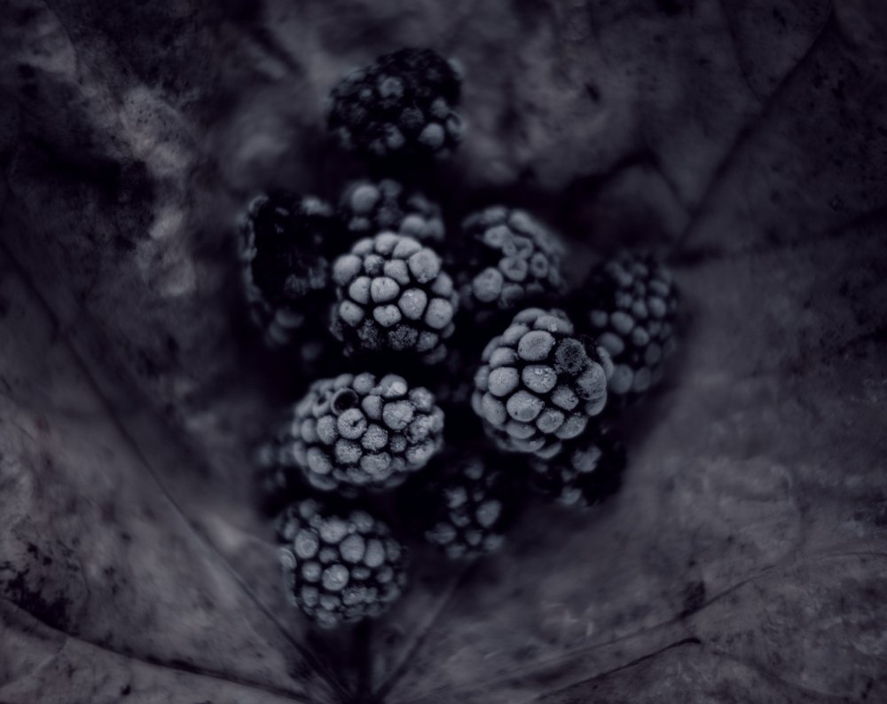 Фотография автора Алеся Кубаткина