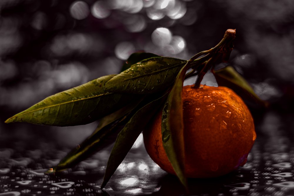 Фотография автора Алеся Кубаткина