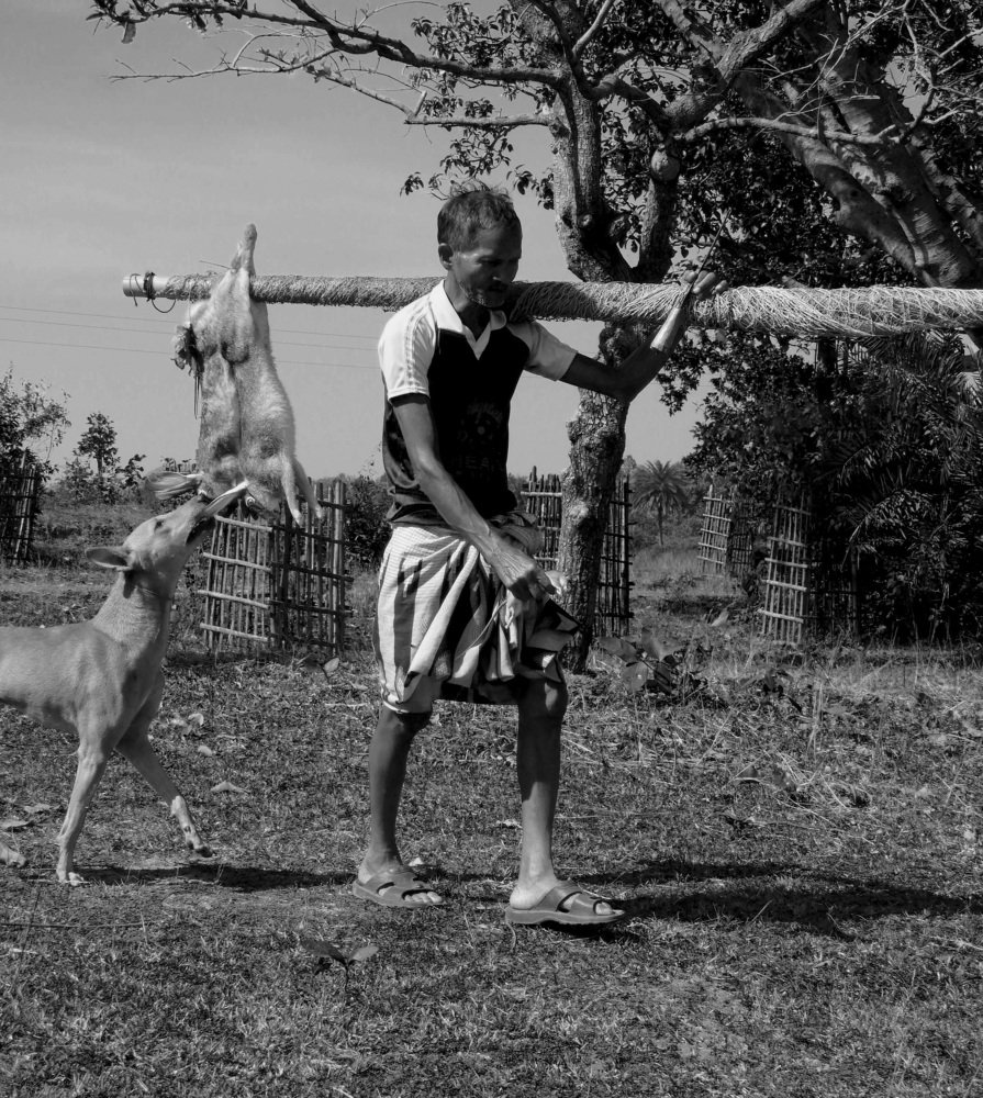 Photograph by Rahul Rishi More