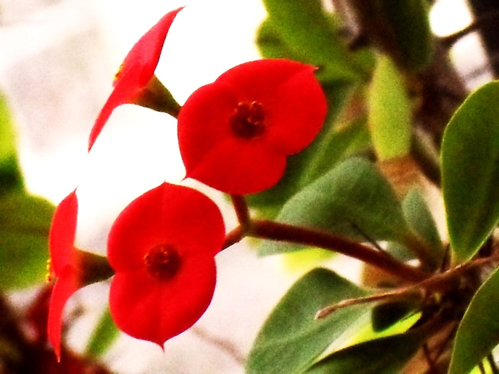 Photograph by Вадим Беляев