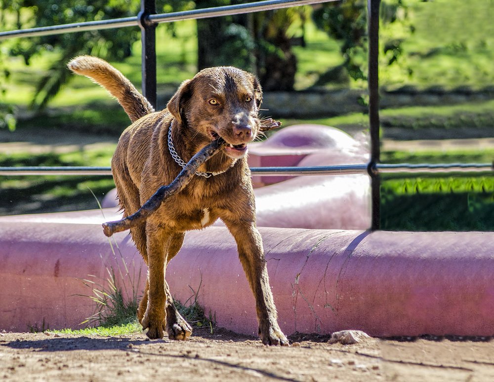 Photograph by ALBA IRIS SOLIS