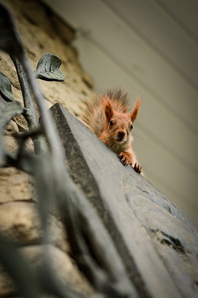 Photograph by Анастасия Донская