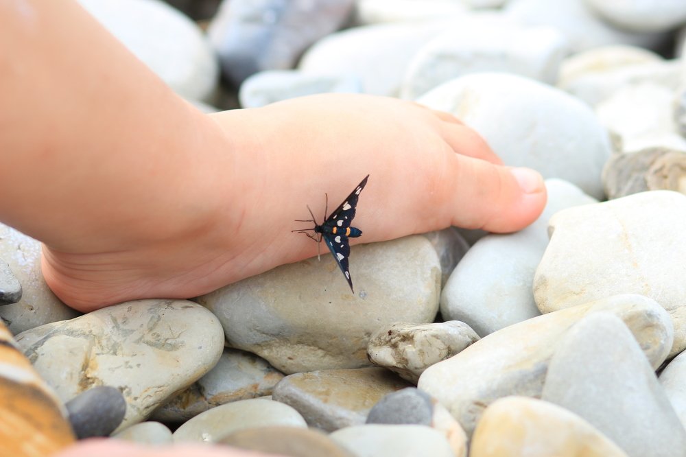 Photograph by Елена Клементенок