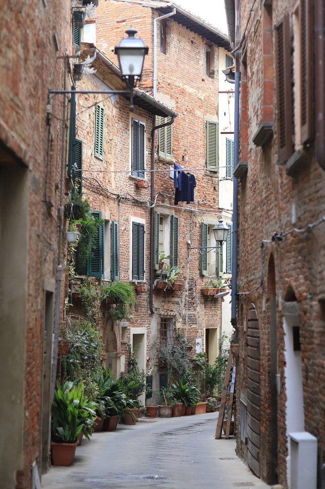 Photograph by Светлана Саенко