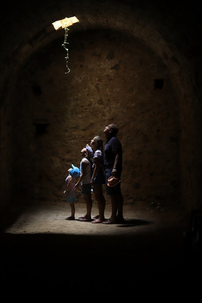 Фотография автора Светлана Саенко