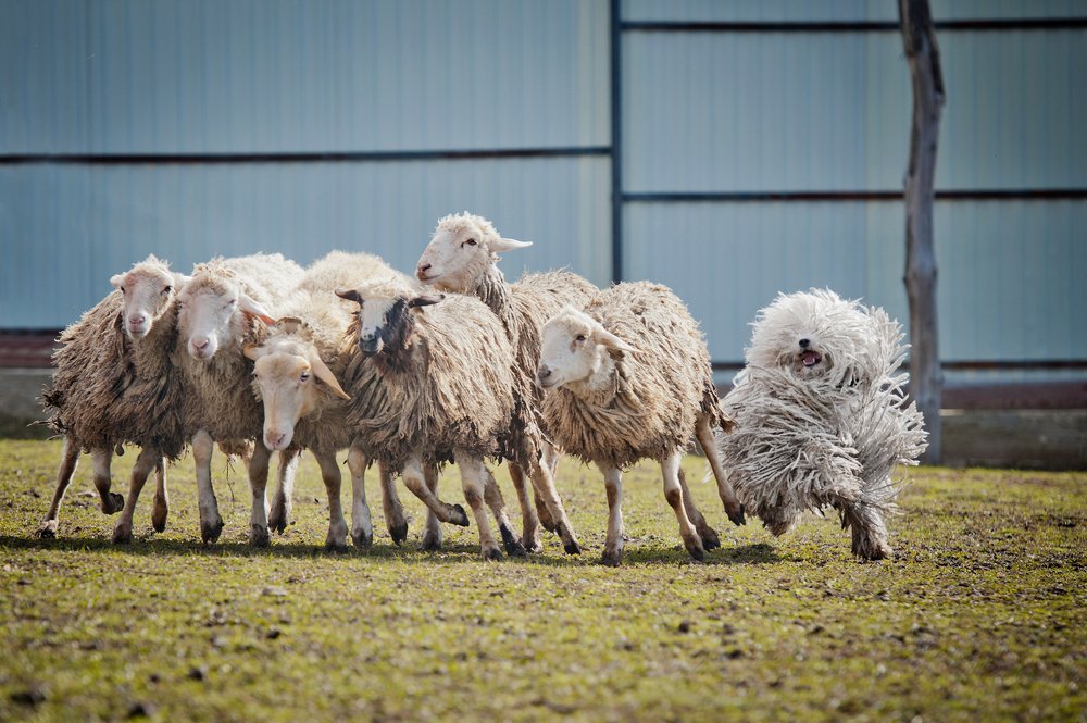 Photograph by Olga Bo