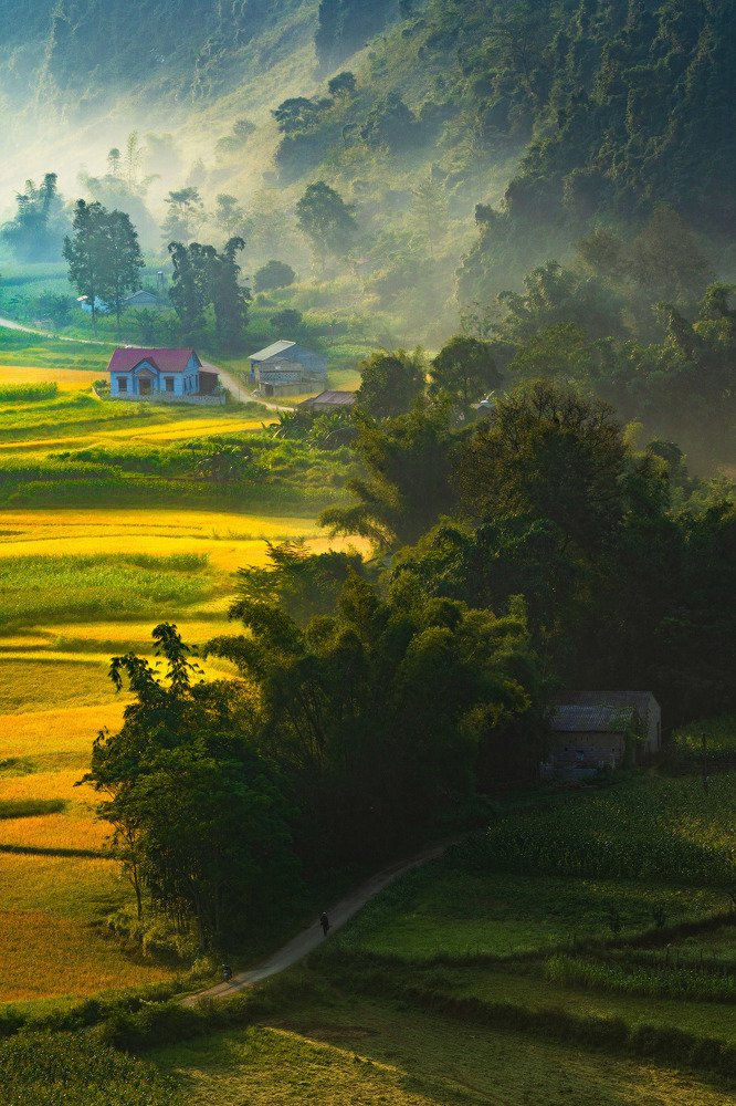Morning in Vietnam's countryside