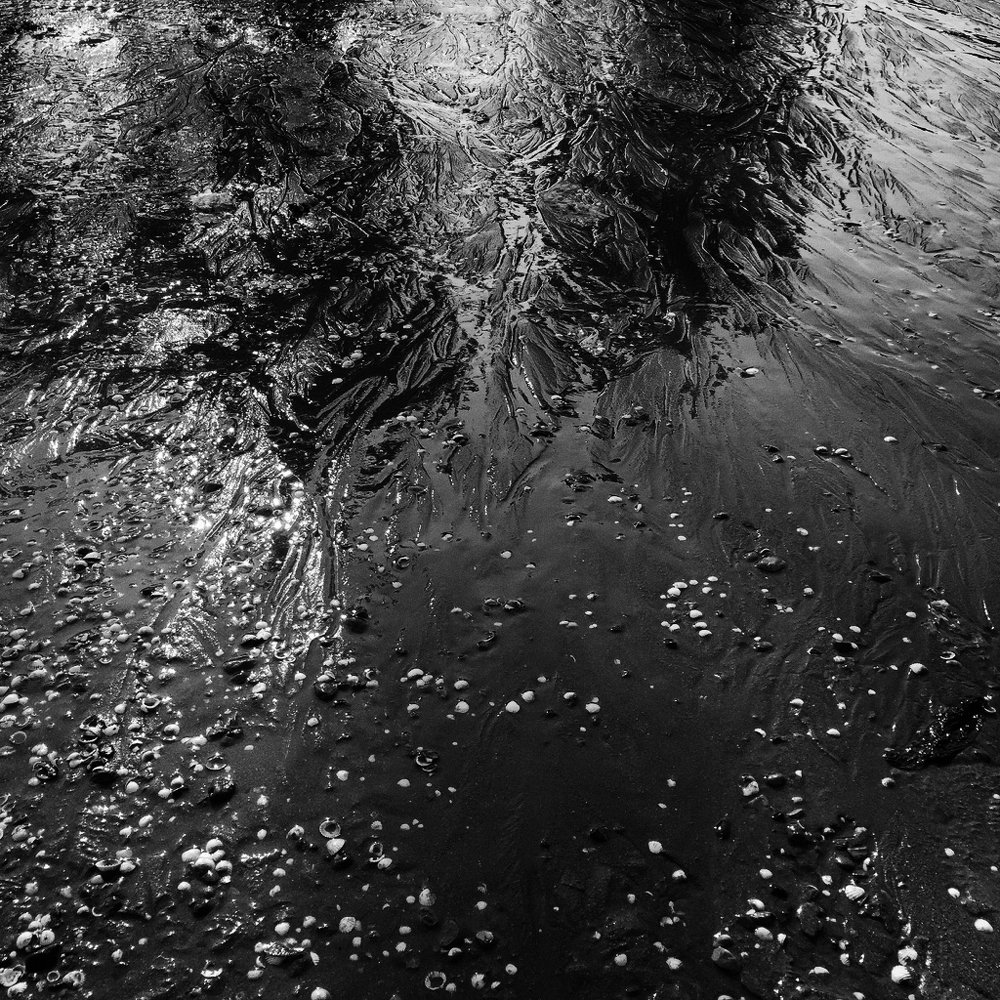 Photograph by Mahdieh Katouzian -