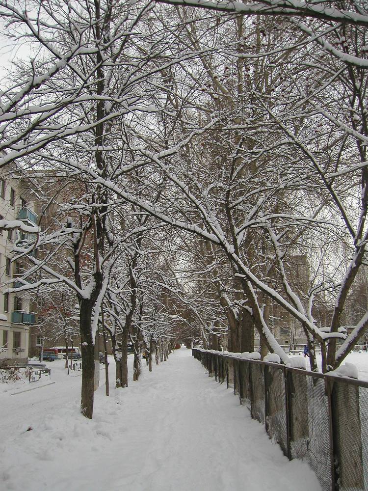 Photograph by миша