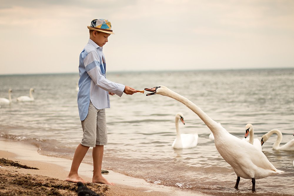 Photograph by Наталья Вистинь