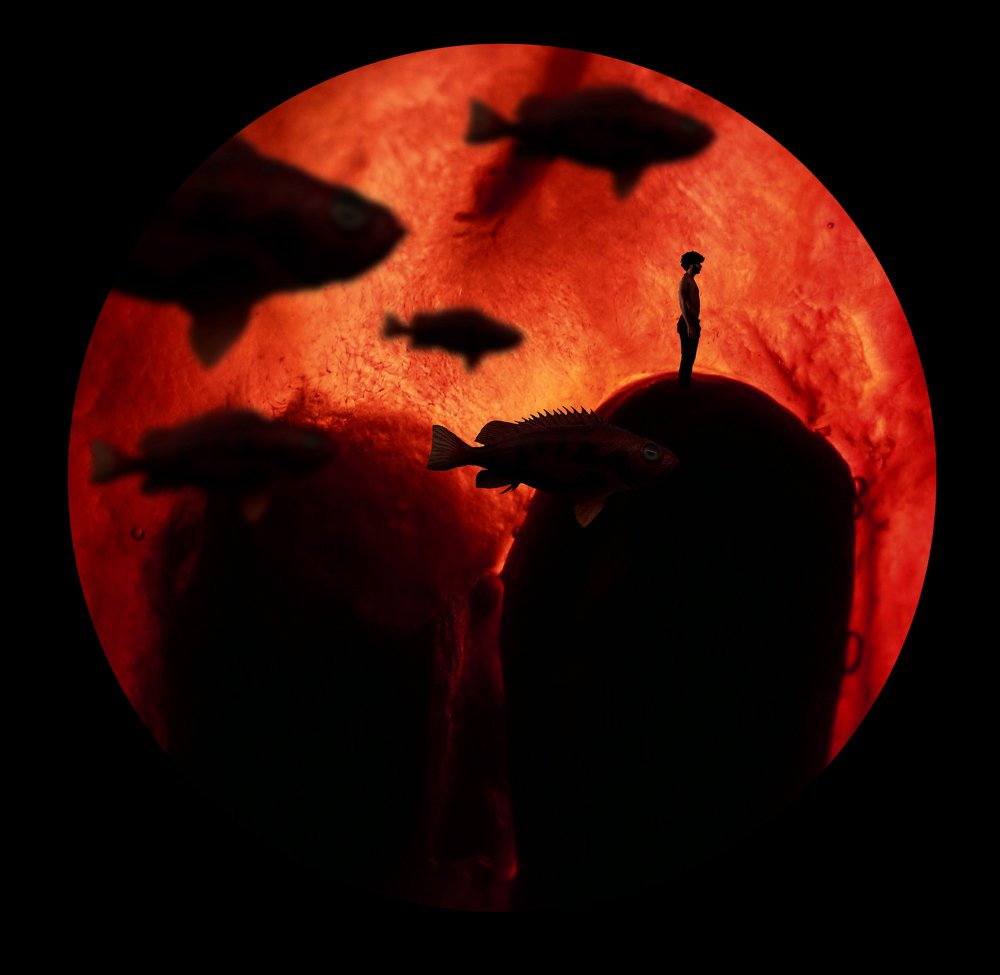 Фотография автора arabzadeh hossein