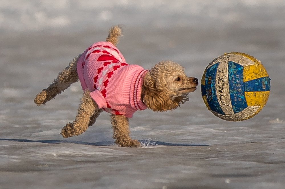 Photograph by Логунов Максим