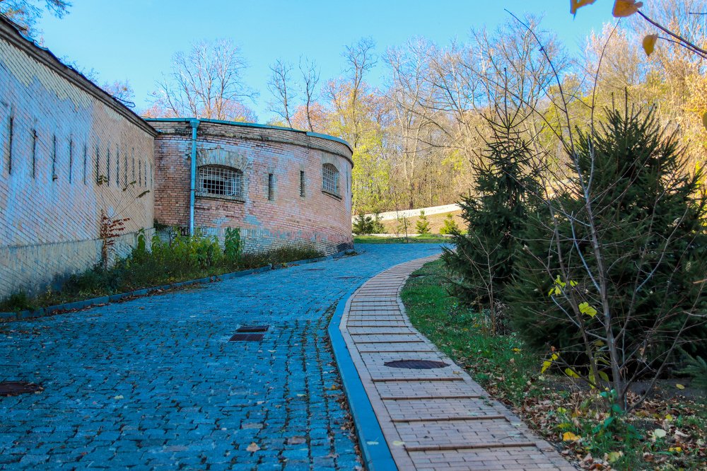 Фотография автора Дмитрий Васильев