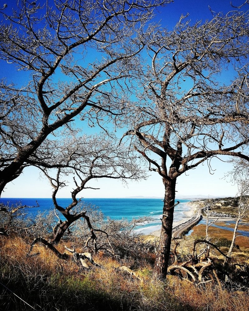 Photograph by Юлия Джиоева