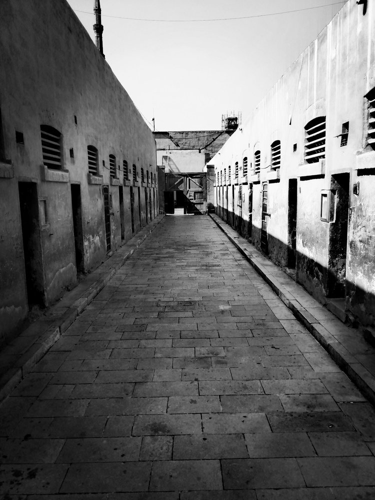 Photograph by Ahmed Bekhit