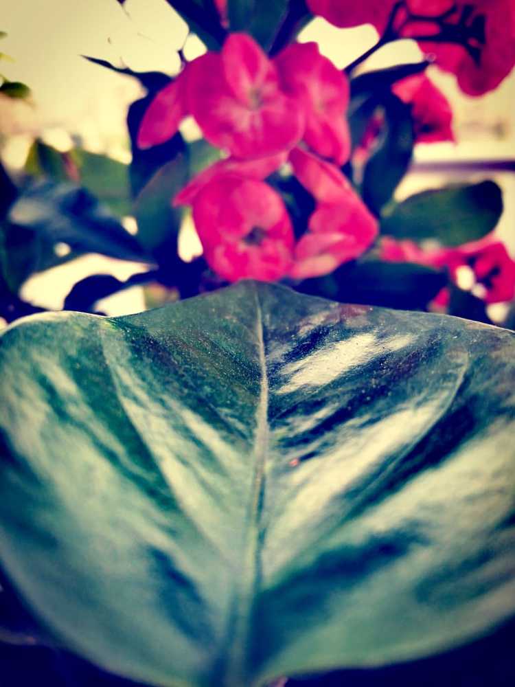 Photograph by Ahmed Bekhit