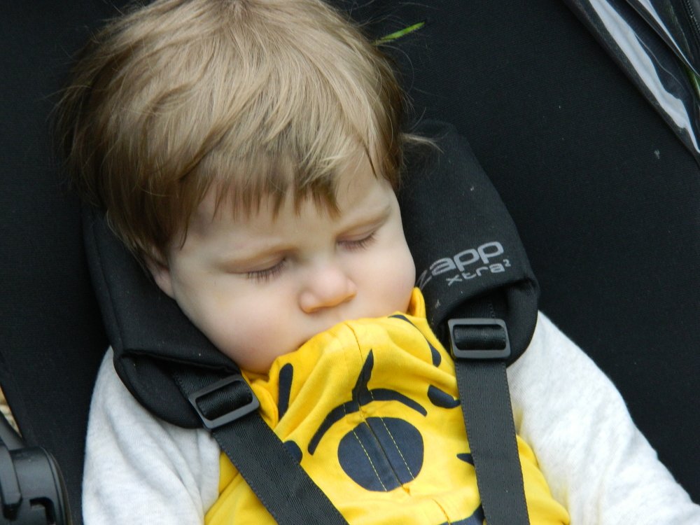 Photograph by Сергей Рапопорт