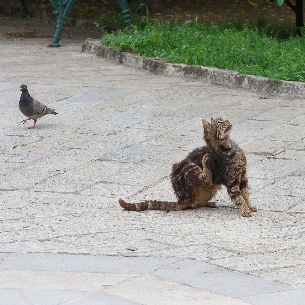 Photograph by Иван Квятковский