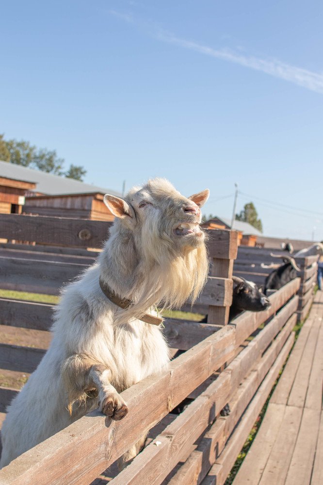 Photograph by Ольга Гаврикова