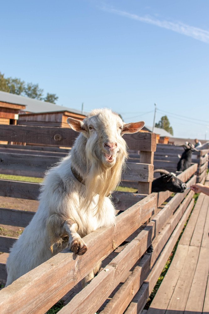 Photograph by Ольга Гаврикова