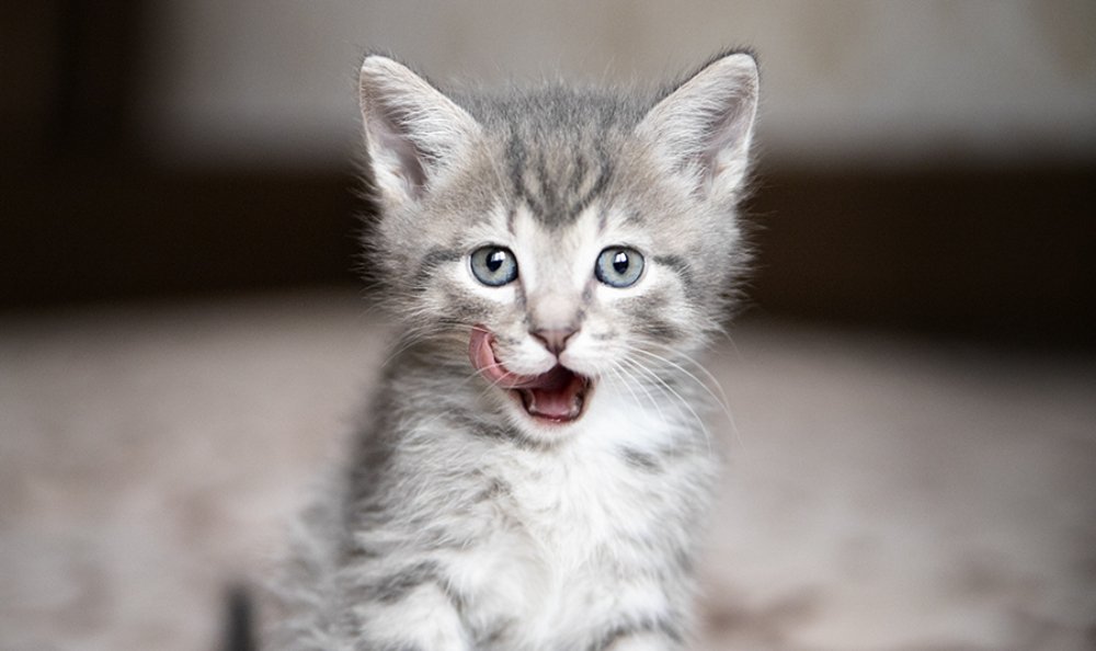 Photograph by Ирина Леонова