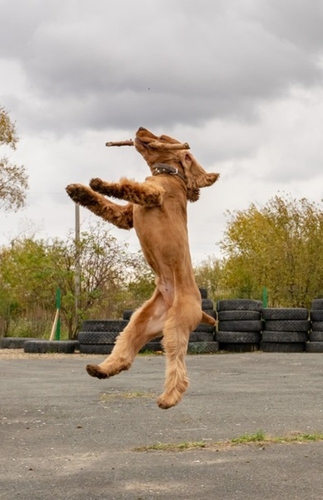 Photograph by Вера Шипулина