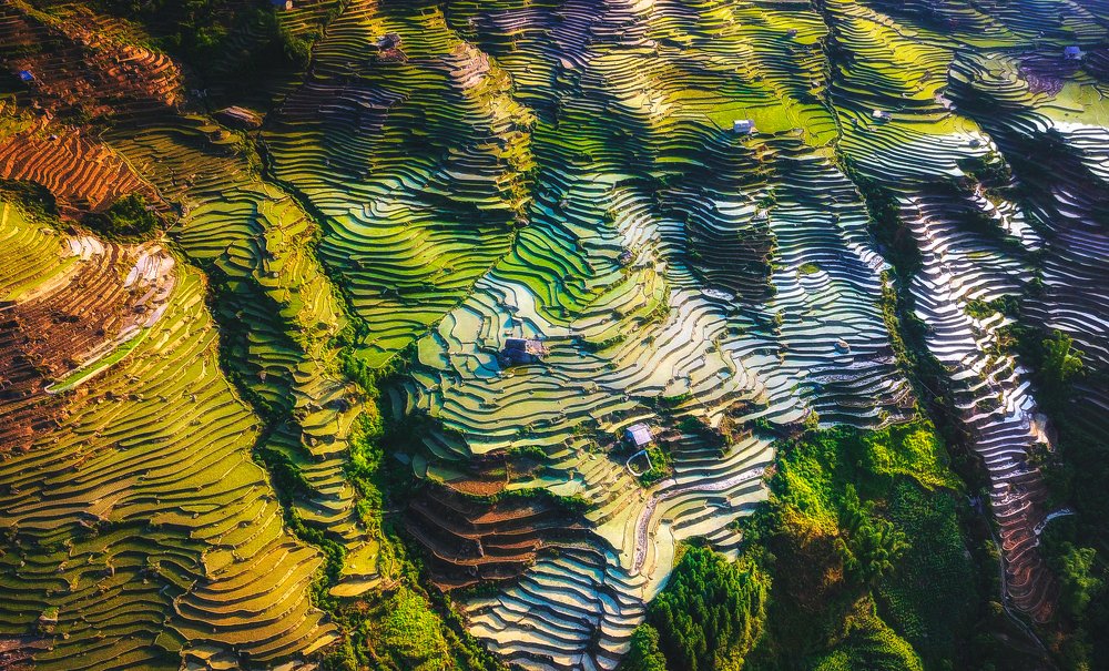 Pattern of terraced paddy fields