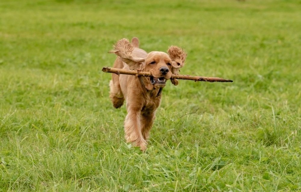 Photograph by Вера Шипулина