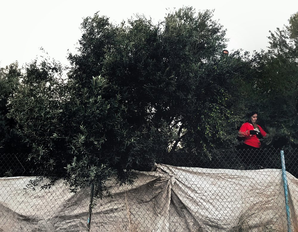 Photograph by Bahram Bayat