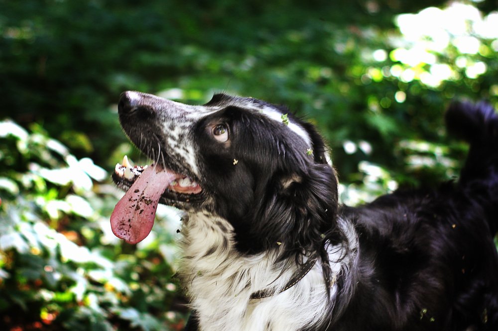 Photograph by Татьяна Линькова