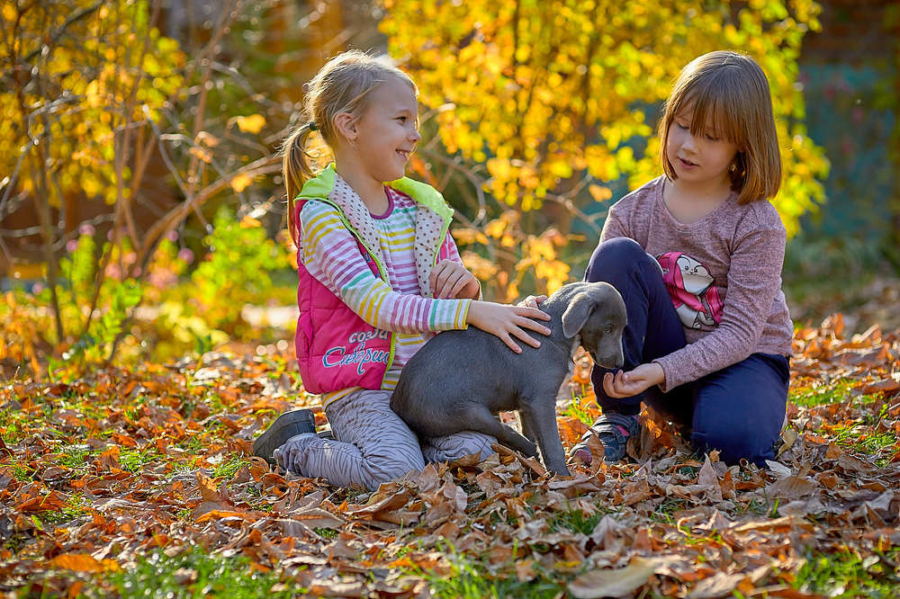 Photograph by Стас Григорьев