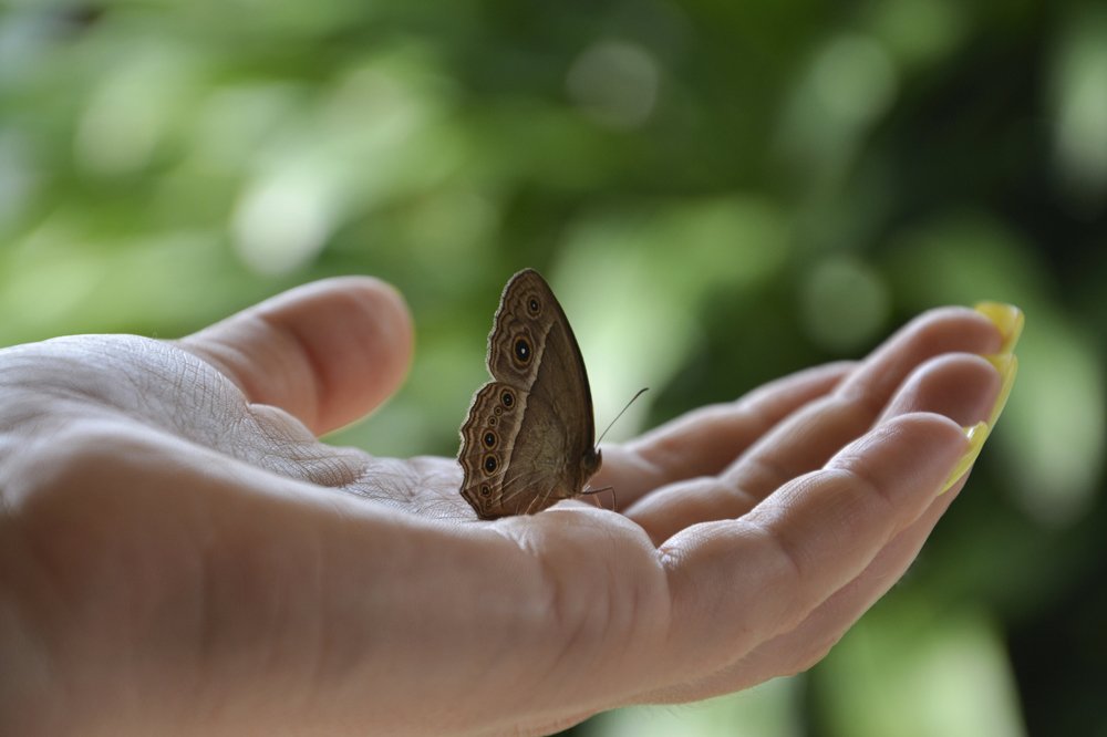 Photograph by Михаил Kolesnik