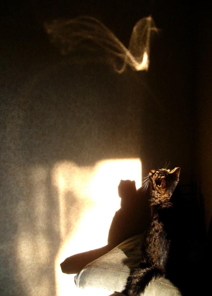 Photograph by Ирина Ковалева