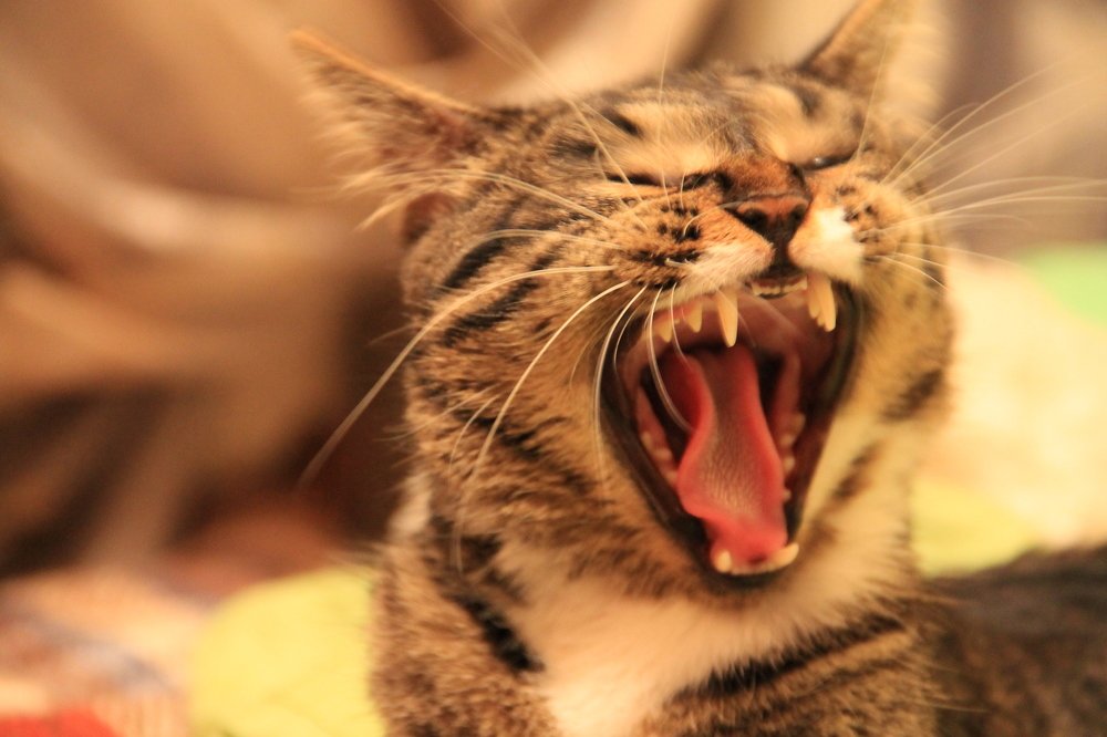 Photograph by Ирина Ковалева