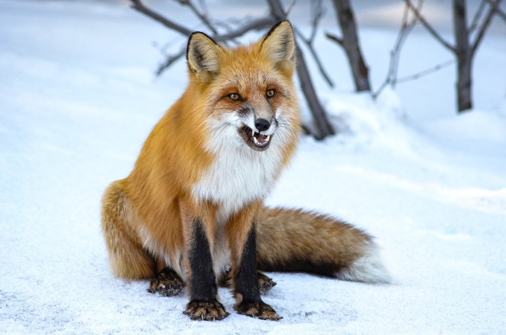 Photograph by Вероника Романенко