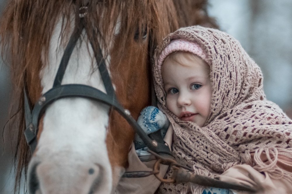 Тихая дружба