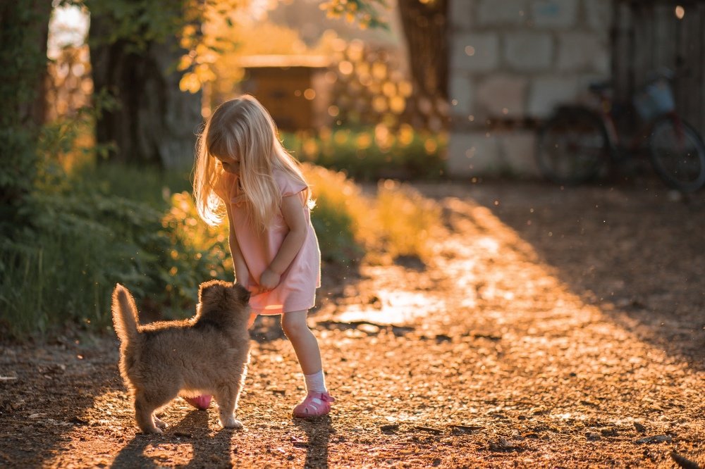 Озорной друг