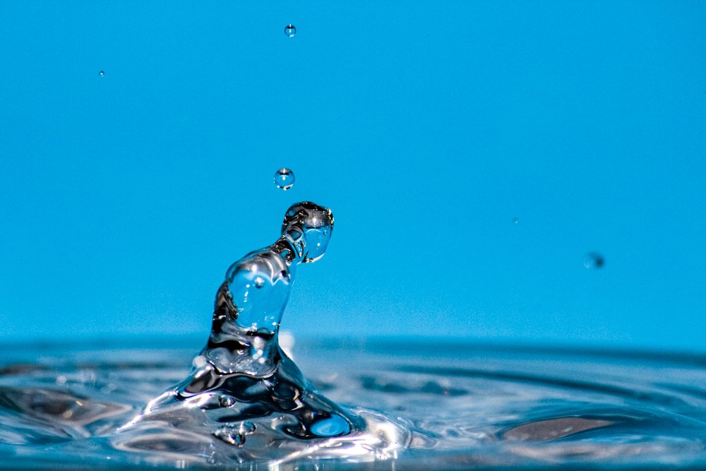 Photograph by Golestani Mojtaba