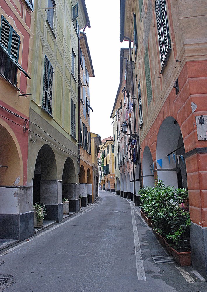 Photograph by julio cesar berisso