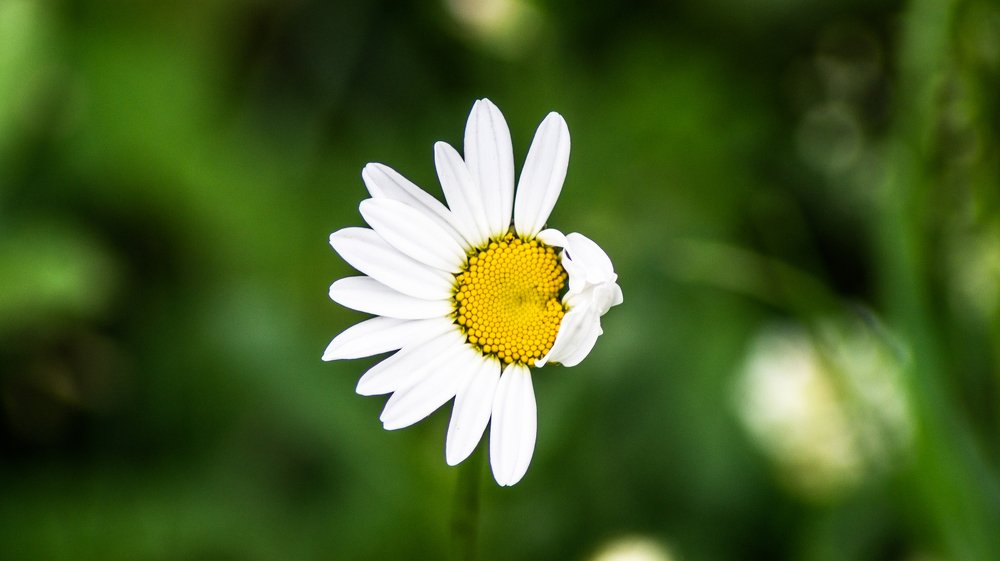 Photograph by Евгений Калагаев