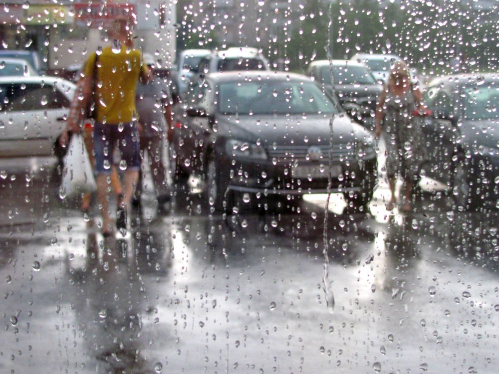 ЛЕТНИЙ ДОЖДЬ