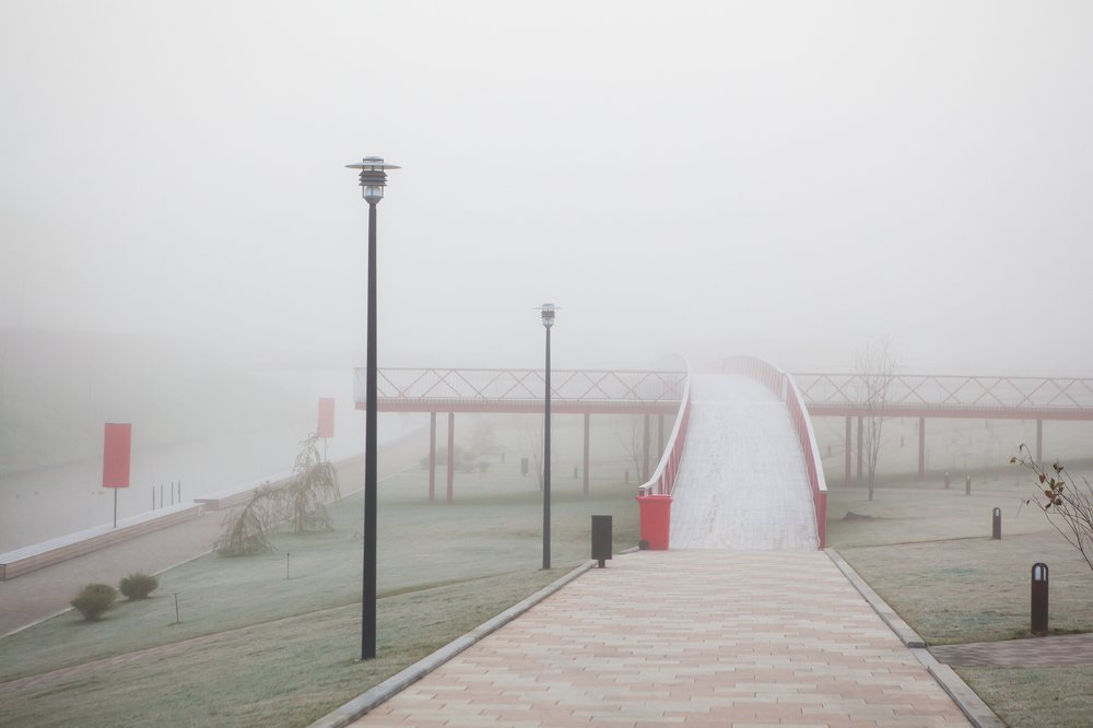 Photograph by Алексей Пирязев